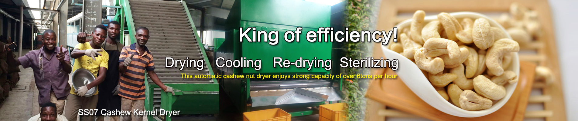 Automatic Cashew Nut Dryer Machine