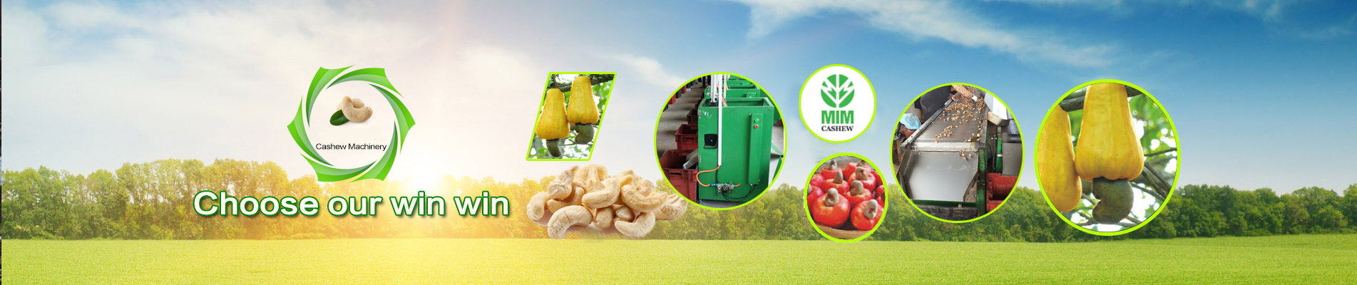 CASHEW NUT PROCESSING MACHINE