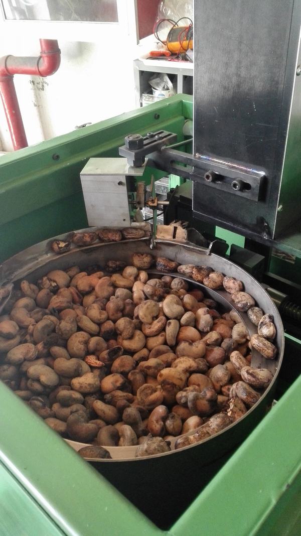 SS21 Automatic Cashew Shelling Machine