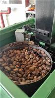 SS21 Automatic Cashew Shelling Machine