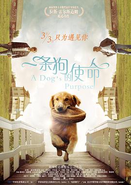 精品成人乱色一区二区
