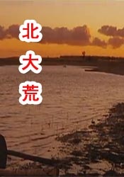 欧美日韩视频在线第一区