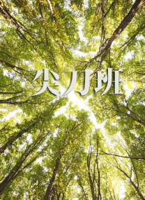 精品视频一区二区